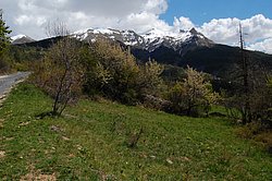 DSC_0202.JPG