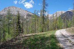 DSC_0207.JPG