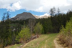 DSC_0213.JPG