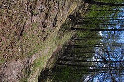 DSC_0218.JPG