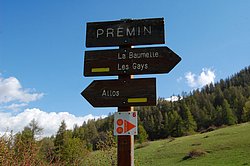 DSC_0247.JPG