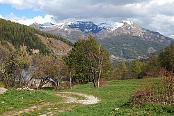 DSC_0248.JPG