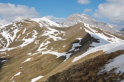DSC_0274.JPG