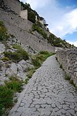 DSC_0123.JPG