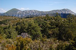 tour_picogu007.JPG