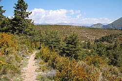 tour_picogu008.JPG