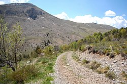 tour_picogu013.JPG