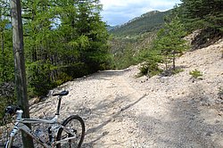 DSC_0214.JPG