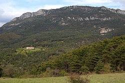 DSC_0229.JPG