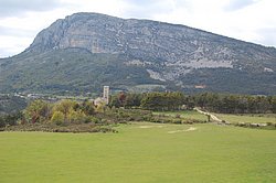 DSC_0230.JPG