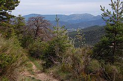 DSC_0231.JPG