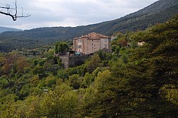 DSC_0236.JPG