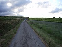NORE0008.JPG