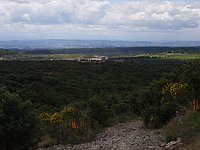 NORE0027.JPG
