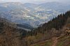 DSC_0203.JPG