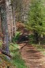 DSC_0275.JPG