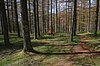 DSC_0276.JPG