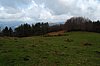 DSC_0286.JPG