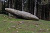 DSC_0287.JPG