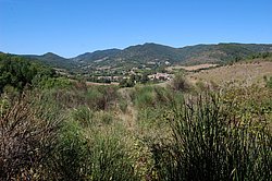 Rouvenac