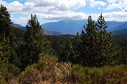 capcir jour 1 (11).JPG