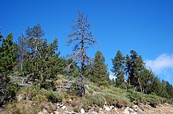 capcir jour 1 (3).JPG